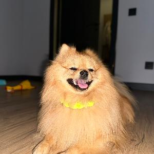 Кекс