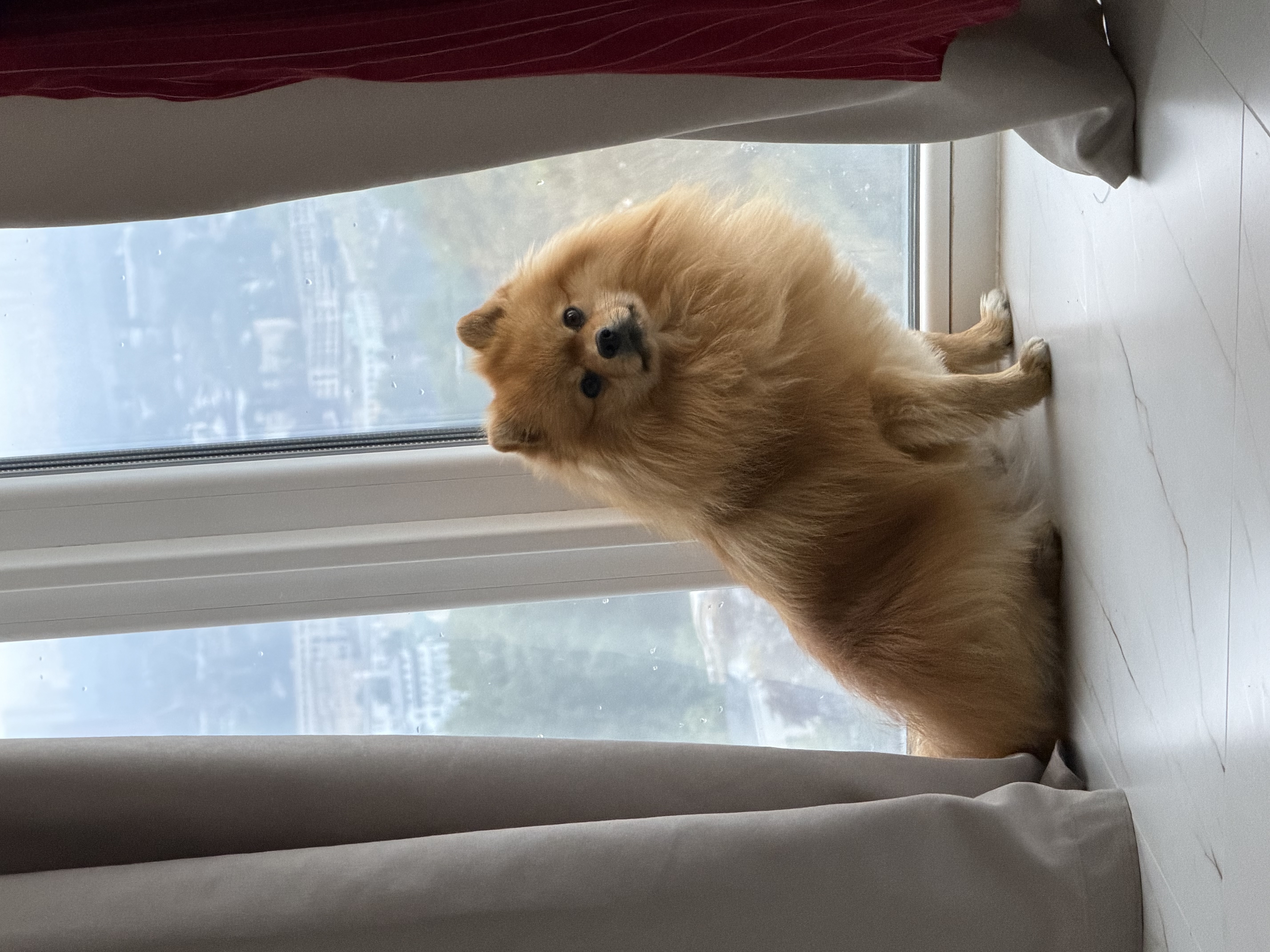 Кекс