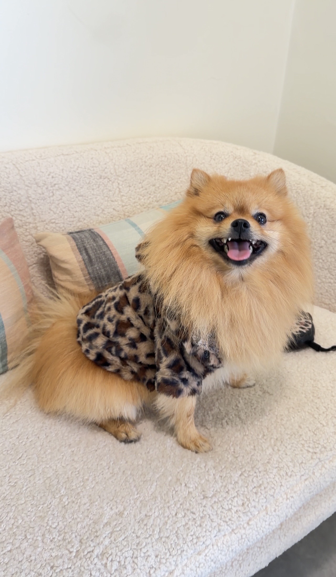 Кекс